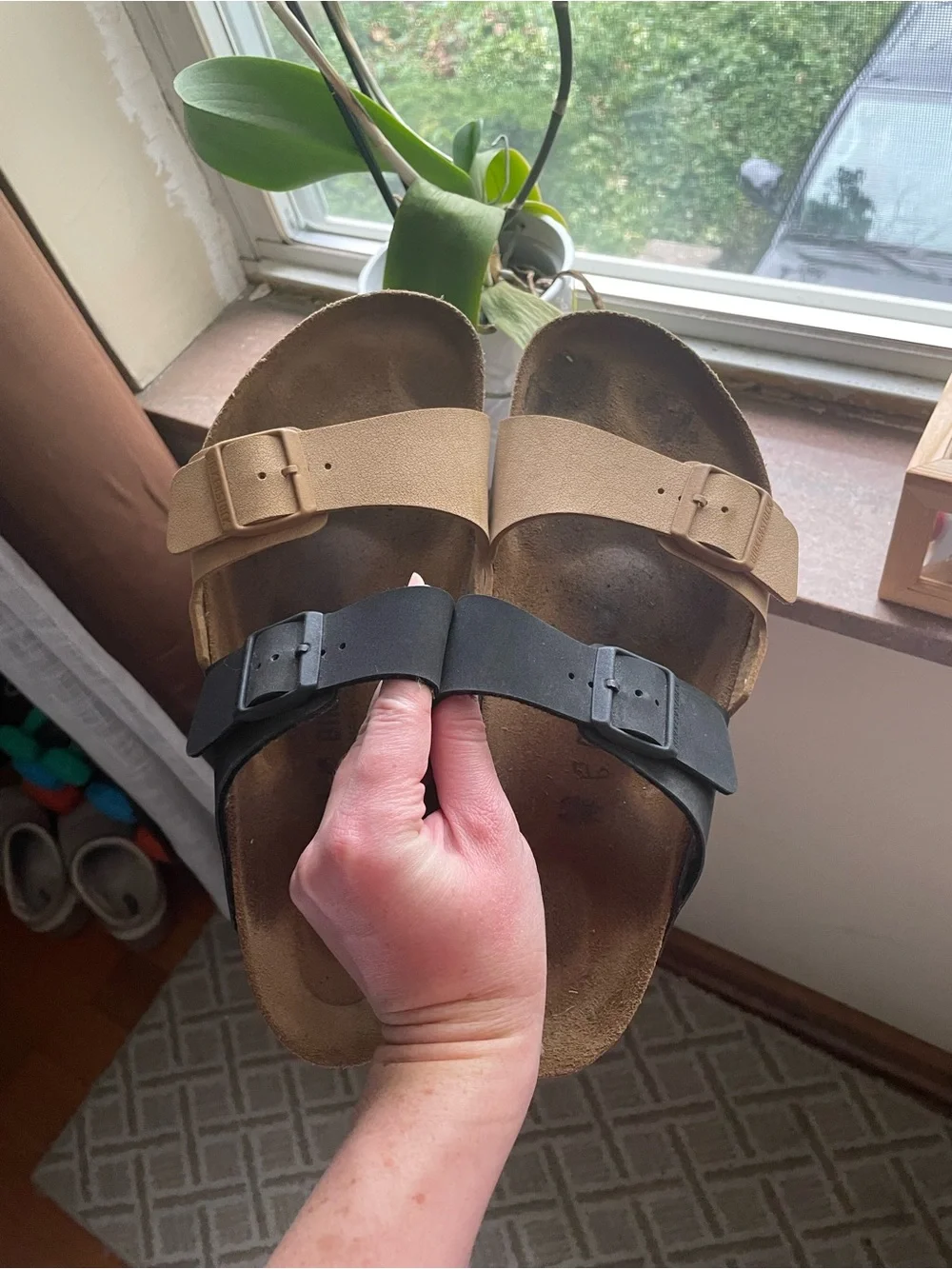 Birkenstock Arizona Two-Color Two-Strap Sandals - Black & Brown